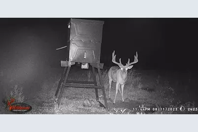 7583 Blue Creek Road, Jefferson Twp, OH 45684 - Photo 54