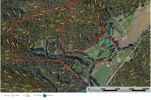 7583 Blue Creek Rd, Jefferson Twp, OH 45684 - Photo 56