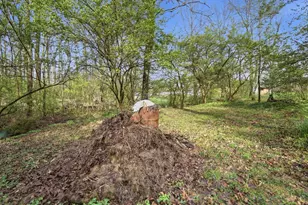 1905 Greenpine Dr, Springfield Township, OH 45231 - Photo 86