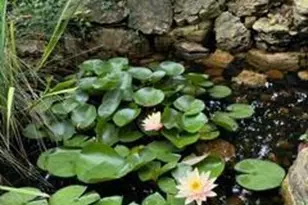 4220 St Cloud Way, Miami Township, OH 45002 - Photo 70