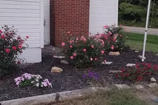 4903 State Route 132, Morrow, OH 45152 - Photo 52