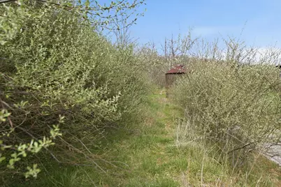 5683 Centerpoint Road, Pleasant Township, OH 45121 - Photo 64