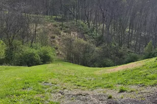11965 Stone Mill Rd, Colerain Township, OH 45251 - Photo 8