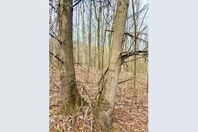 0 Fyffe Hollow, Franklin Twp, OH 45601 - Photo 90