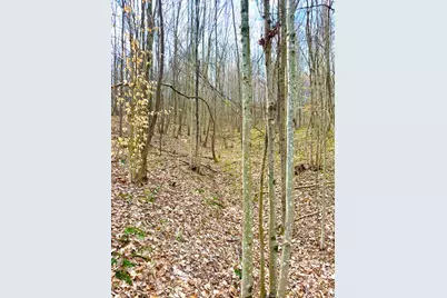 0 Fyffe Hollow, Franklin Twp, OH 45601 - Photo 92