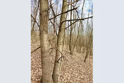 0 Fyffe Hollow, Franklin Twp, OH 45601 - Photo 48