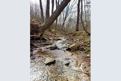 0 Fyffe Hollow, Franklin Twp, OH 45601 - Photo 66