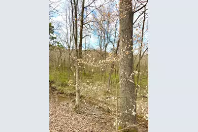 0 Fyffe Hollow, Franklin Twp, OH 45601 - Photo 12