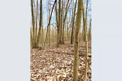 0 Fyffe Hollow, Franklin Twp, OH 45601 - Photo 24