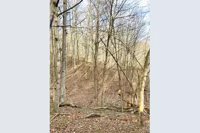 0 Fyffe Hollow, Franklin Twp, OH 45601 - Photo 94