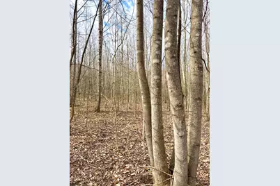 0 Fyffe Hollow, Franklin Twp, OH 45601 - Photo 84