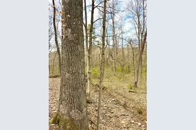 0 Fyffe Hollow, Franklin Twp, OH 45601 - Photo 1