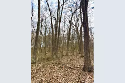 0 Fyffe Hollow, Franklin Twp, OH 45601 - Photo 76