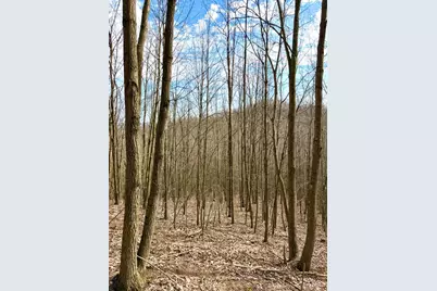 0 Fyffe Hollow, Franklin Twp, OH 45601 - Photo 46