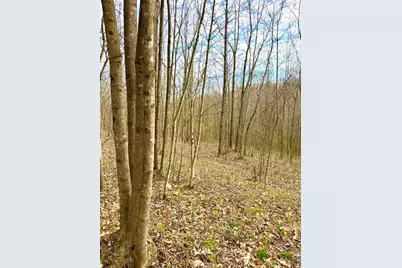 0 Fyffe Hollow, Franklin Twp, OH 45601 - Photo 58