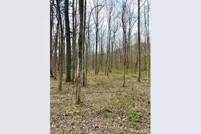 0 Fyffe Hollow, Franklin Twp, OH 45601 - Photo 64