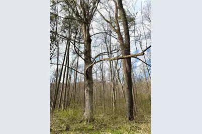 0 Fyffe Hollow, Franklin Twp, OH 45601 - Photo 70