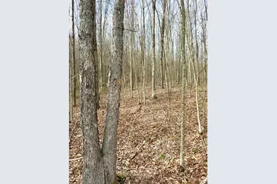 0 Fyffe Hollow, Franklin Twp, OH 45601 - Photo 88