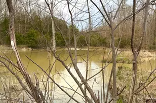 1600 Magee Jones Rd, Bratton Township, OH 45660 - Photo 24