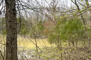 1600 Magee Jones Rd, Bratton Township, OH 45660 - Photo 78