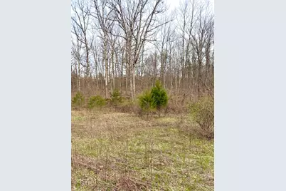 1600 Magee Jones Road, Bratton Township, OH 45660 - Photo 20