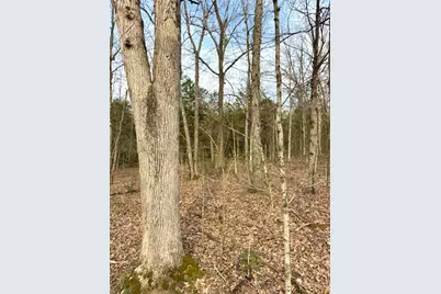 1600 Magee Jones Road, Bratton Township, OH 45660 - Photo 44