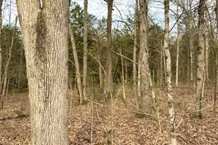 1600 Magee Jones Rd, Bratton Township, OH 45660 - Photo 44