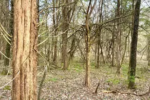 1600 Magee Jones Rd, Bratton Township, OH 45660 - Photo 64