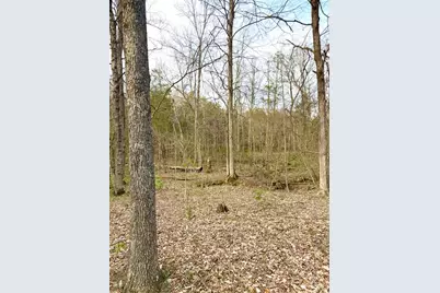 1600 Magee Jones Road, Bratton Township, OH 45660 - Photo 48