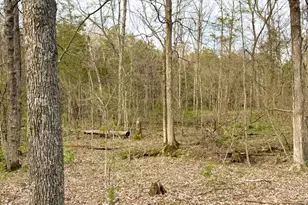 1600 Magee Jones Rd, Bratton Township, OH 45660 - Photo 48