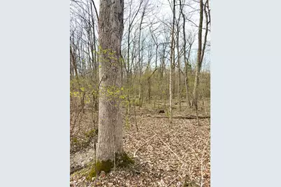 1600 Magee Jones Road, Bratton Township, OH 45660 - Photo 10