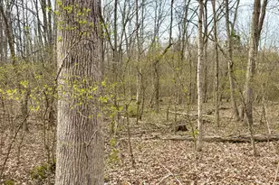 1600 Magee Jones Rd, Bratton Township, OH 45660 - Photo 10