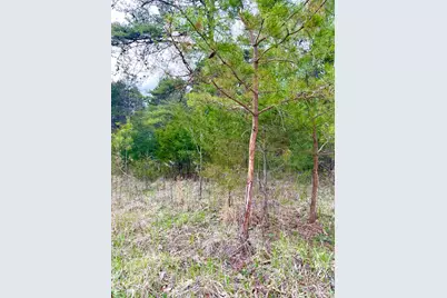 1600 Magee Jones Road, Bratton Township, OH 45660 - Photo 68