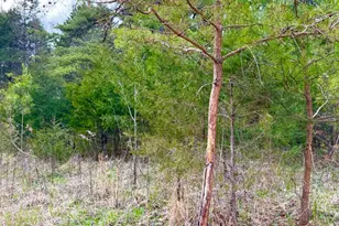 1600 Magee Jones Rd, Bratton Township, OH 45660 - Photo 68