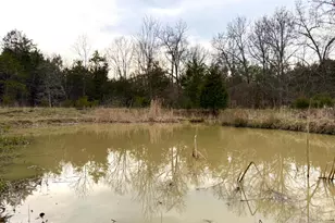 1600 Magee Jones Rd, Bratton Township, OH 45660 - Photo 22