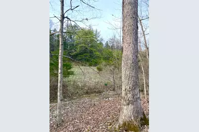 1600 Magee Jones Road, Bratton Township, OH 45660 - Photo 90