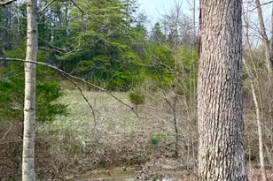 1600 Magee Jones Rd, Bratton Township, OH 45660 - Photo 90