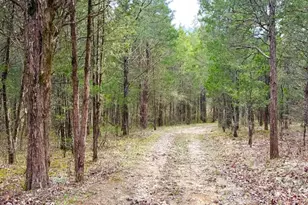 1600 Magee Jones Rd, Bratton Township, OH 45660 - Photo 2