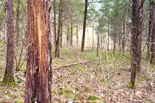 1600 Magee Jones Rd, Bratton Township, OH 45660 - Photo 6