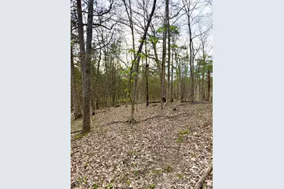 1600 Magee Jones Road, Bratton Township, OH 45660 - Photo 56