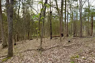 1600 Magee Jones Rd, Bratton Township, OH 45660 - Photo 56