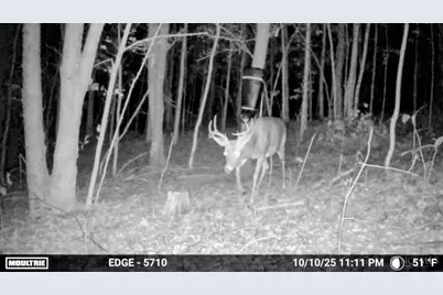 0 Spruce Hollow Road, Madison Township, OH 45653 - Photo 32