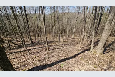 0 Spruce Hollow Road, Madison Township, OH 45653 - Photo 40