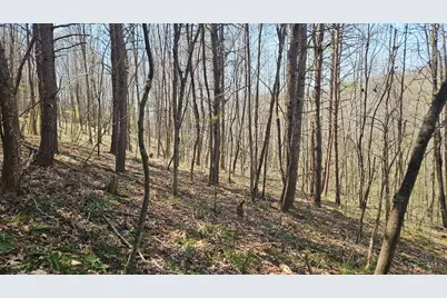 0 Spruce Hollow Road, Madison Township, OH 45653 - Photo 14