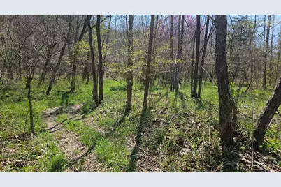 0 Spruce Hollow Road, Madison Township, OH 45653 - Photo 48