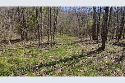 0 Spruce Hollow Road, Madison Township, OH 45653 - Photo 54