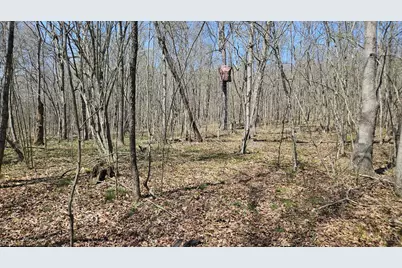0 Spruce Hollow Road, Madison Township, OH 45653 - Photo 22