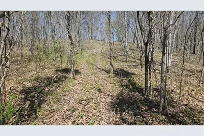 0 Spruce Hollow Road, Madison Township, OH 45653 - Photo 20