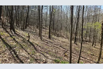 0 Spruce Hollow Road, Madison Township, OH 45653 - Photo 42