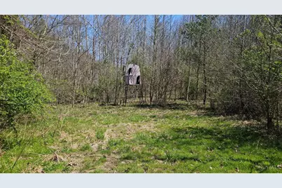 0 Spruce Hollow Road, Madison Township, OH 45653 - Photo 12